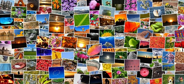 Lazy load og webp: Avancerede teknikker til billedoptimering på wordpress